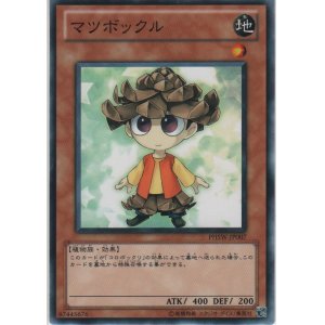 画像: マツボックル【ノーマル】