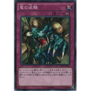 画像: 竜の逆鱗【ノーマル】