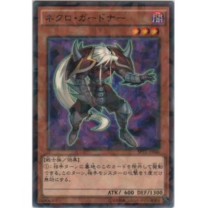 画像: ネクロ・ガードナー【ノーマルパラレル】