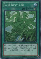 画像: 狂植物の氾濫【ノーマル】