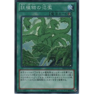 画像: 狂植物の氾濫【ノーマル】