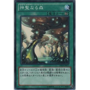 画像: 神聖なる森【ノーマル】