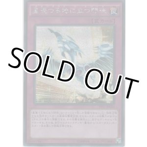 画像: 星堕つる地に立つ閃珖【シークレットレア】