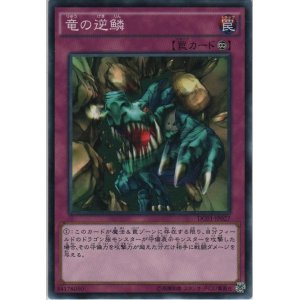 画像: 竜の逆鱗【ノーマルパラレル】