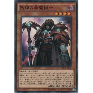 画像: 熟練の魔術士【ノーマル】