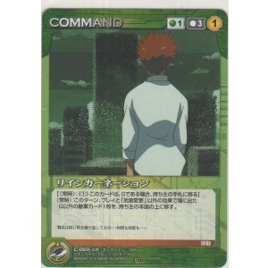 画像: リインカーネーション