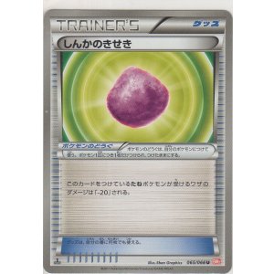 画像: しんかのきせき