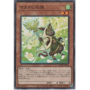 画像: マタタビ仙狸【ノーマル】