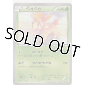 画像: シキジカ