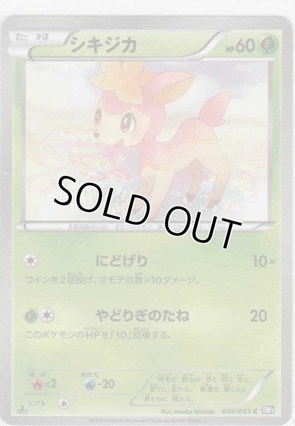 画像1: シキジカ