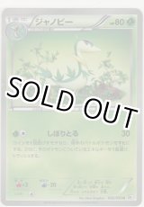 画像: ジャノビー