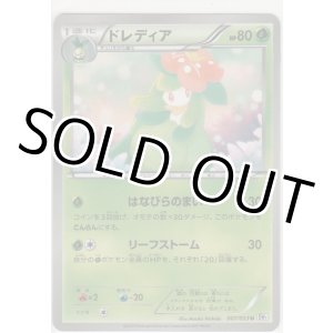 画像: ドレディア