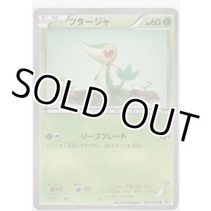 画像: ツタージャ