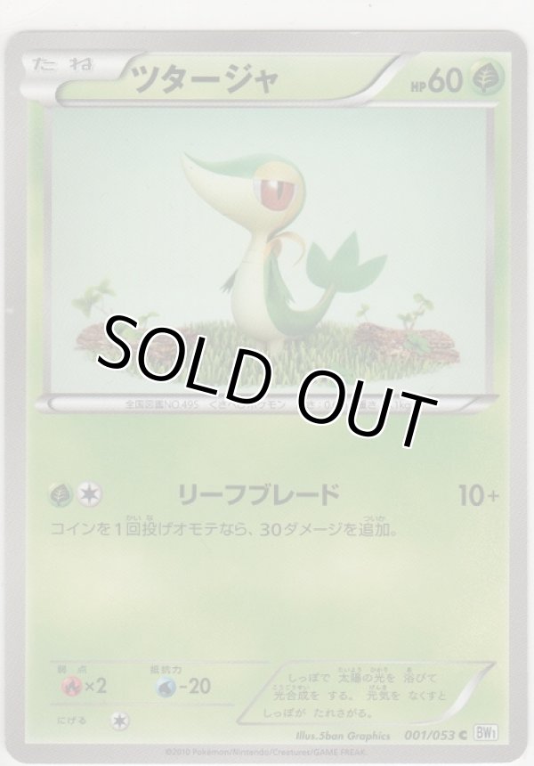 画像1: ツタージャ