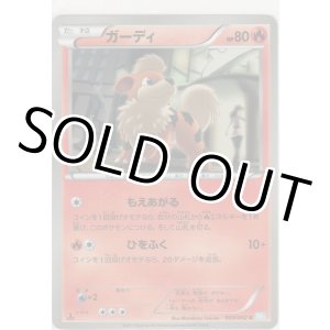 画像: ガーディ