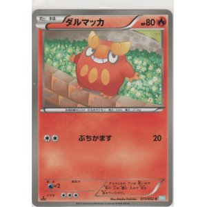 画像: ダルマッカ