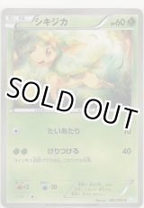 画像: シキジカ