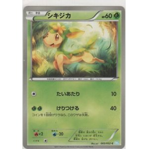 画像: シキジカ