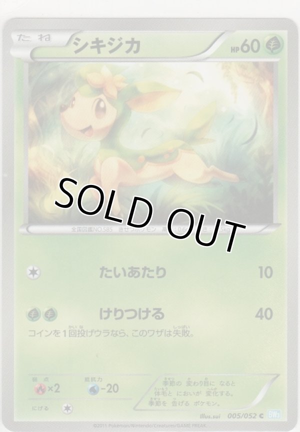 画像1: シキジカ