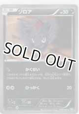 画像: ゾロア