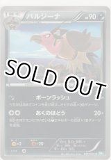 画像: バルジーナ