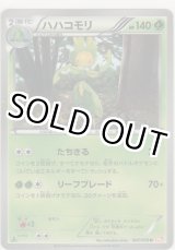 画像: ハハコモリ