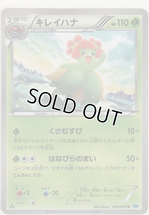 画像1: キレイハナ