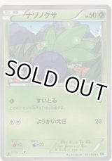 画像: ナゾノクサ