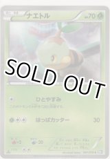 画像: ナエトル