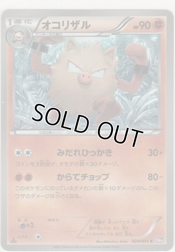 画像1: オコリザル