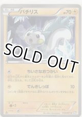 画像: パチリス