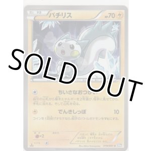 画像: パチリス