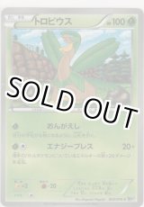 画像: トロピウス