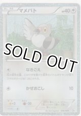 画像: マメパト