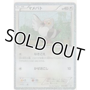 画像: マメパト