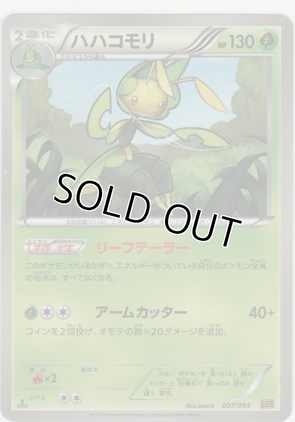 画像1: ハハコモリ