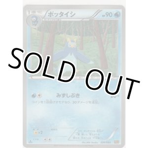 画像: ポッタイシ