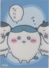 画像: ハチワレ なに？
