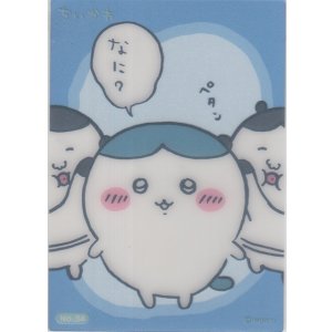 画像: ハチワレ なに？