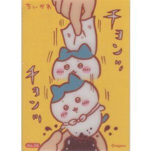 画像: ハチワレ チョンッチョンッ