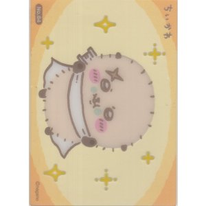 画像: ラッコ