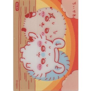画像: ラッコ＆モモンガ サウナ