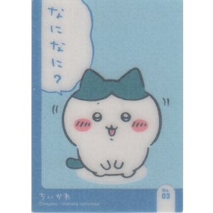 画像: ハチワレ なになに？