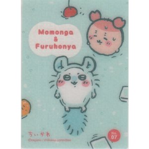 画像: モモンガ＆古本屋