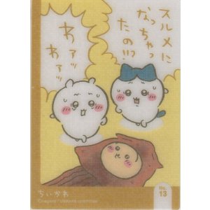 画像: ちいかわ＆ハチワレ＆うさぎ スルメになっちゃたの