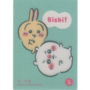 画像: ちいかわ＆うさぎ