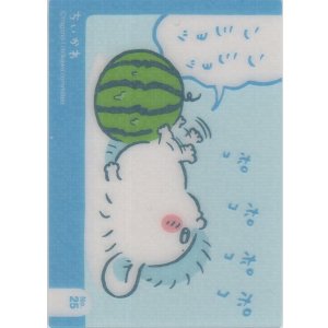 画像: モモンガ スイカ