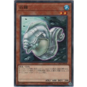 画像: 白鱓【ノーマル】