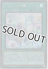 画像: アラメシアの儀【シークレットレア】