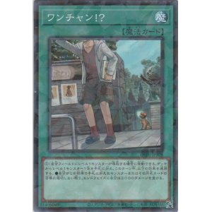 画像: ワンチャン!?【ノーマルパラレル】